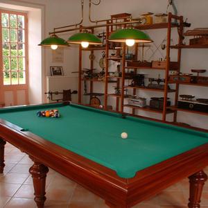 salle-de-billard-et-des-balances-au-clos-de-la-garenne-17700-puyravault-en-aunis-marais-poitevin