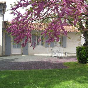 facade-de-la-chambre-dhotes-familiale-de-charme-4-epis-du-clos-de-la-garenne-17700-cottage-pour-trois-a-cinq-personnes-avec-lit-160-et-lits-90